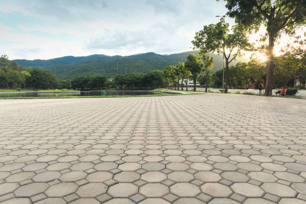 Best Interlocking Driveway Pavers  in Hampton, VA